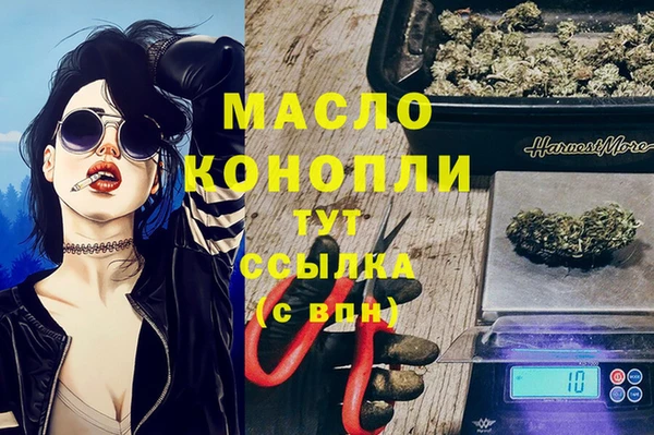 СК Алексин