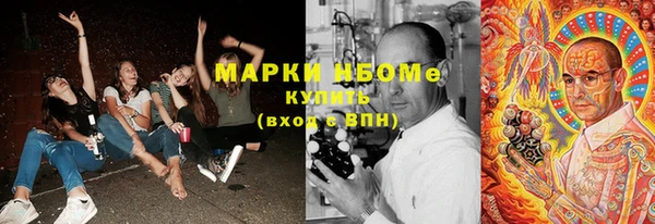 гидропоника Алзамай