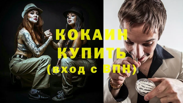 СК Алексин